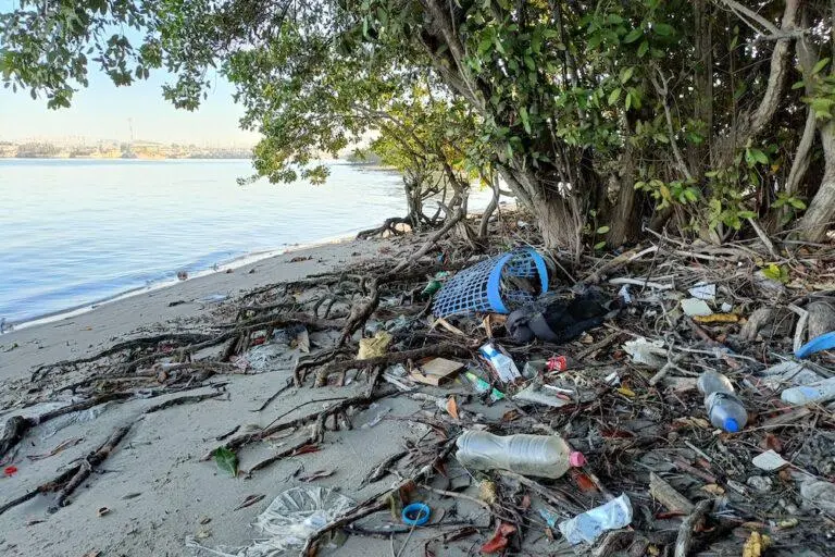 $!Así se aniquila al Estero de Urías, uno de los más contaminados de México y el mundo