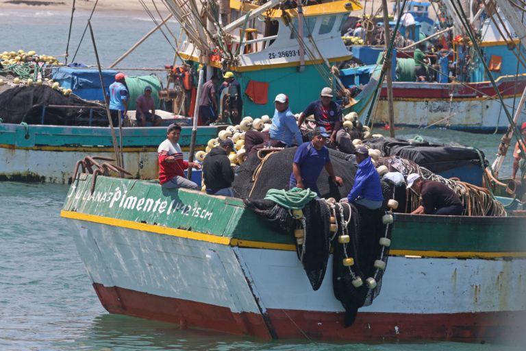 $!Los desafíos ambientales para salvar los océanos de Latinoamérica en 2022