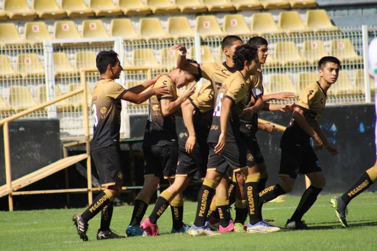 Dorados de la TDP regresará a la actividad en febrero