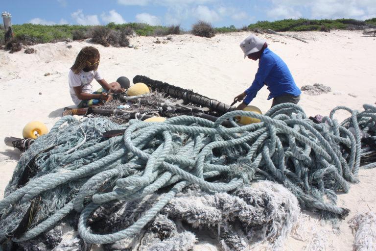 Los barcos atuneros europeos vierten los residuos de la pesca en las aguas de Seychelles ‘con impunidad’