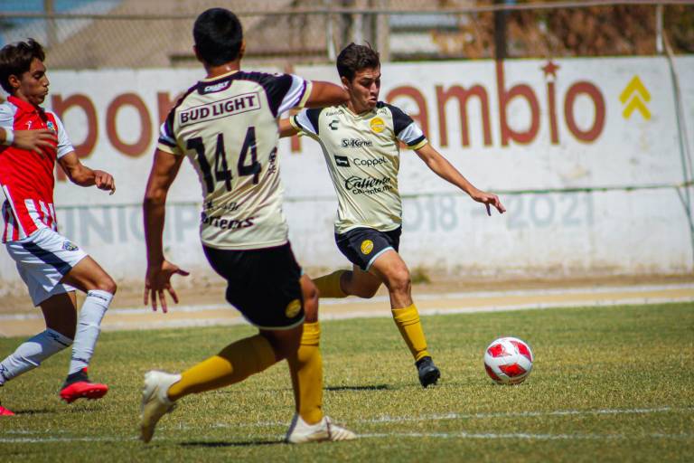 Dorados recibe este lunes en Navolato a Tecos Ameca