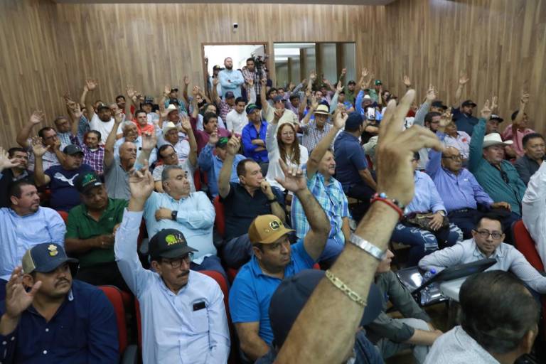 Bodegueros respaldan precio base de maíz en Sinaloa