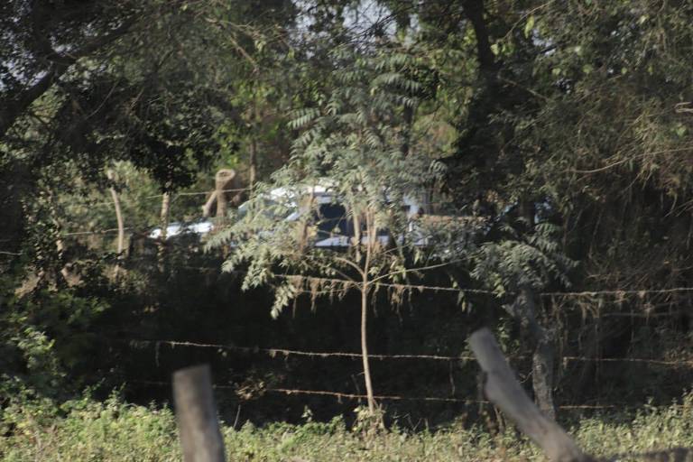 Dejan cuatro hombres asesinados a orillas de una milpa en El Walamo