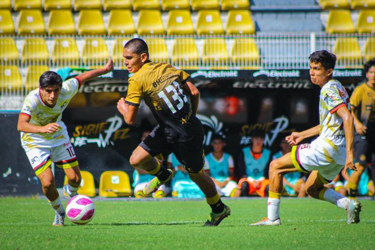 Dorados de Sinaloa suma dos puntos en la TDP