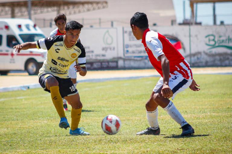 Dorados de Sinaloa llega a 15 partidos sin perder en la TDP