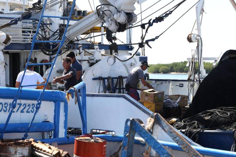 Repunta actividad portuaria en Mazatlán con movimiento de acero y atún