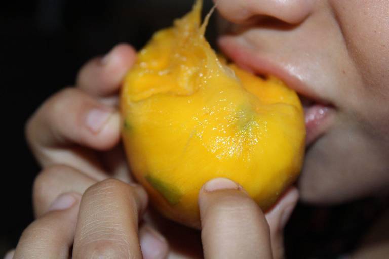 El mango del país es el primer manjar a saborear de la temporada