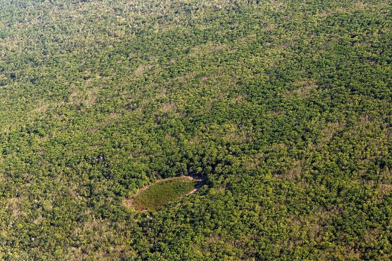 Alertan afectaciones ambientales por megaproyecto turístico en Santa Elena, Yucatán