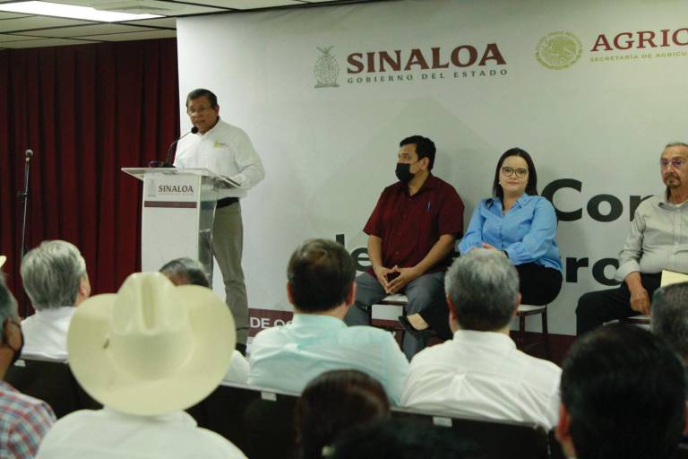 Sembrarán en Sinaloa más de 780 mil hectáreas durante el ciclo agrícola otoño-invierno 2022-23