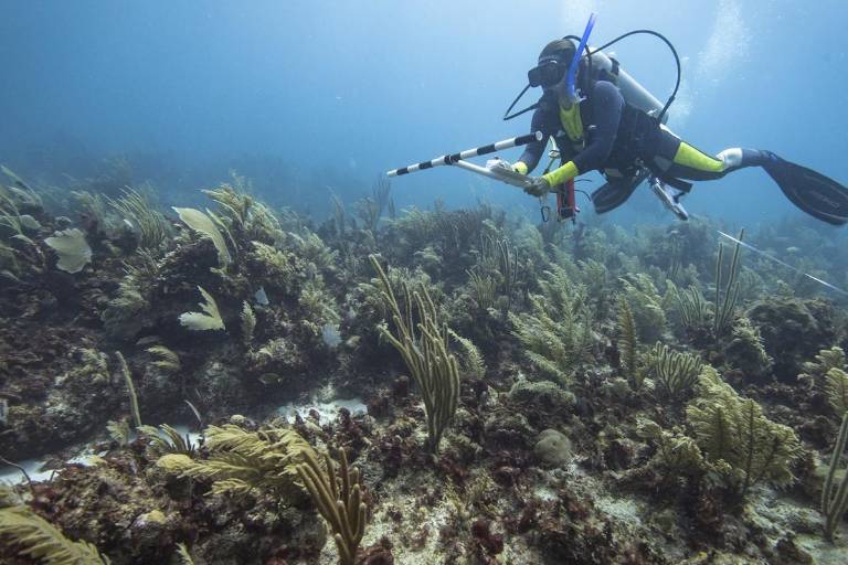Alianza Kanan Kay, un faro contra la pesca ilegal