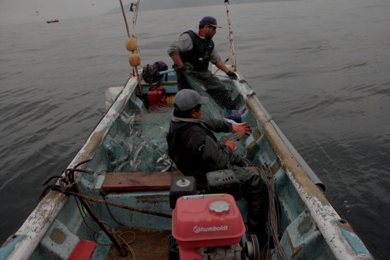 $!Pescadores artesanales pescando merluza.