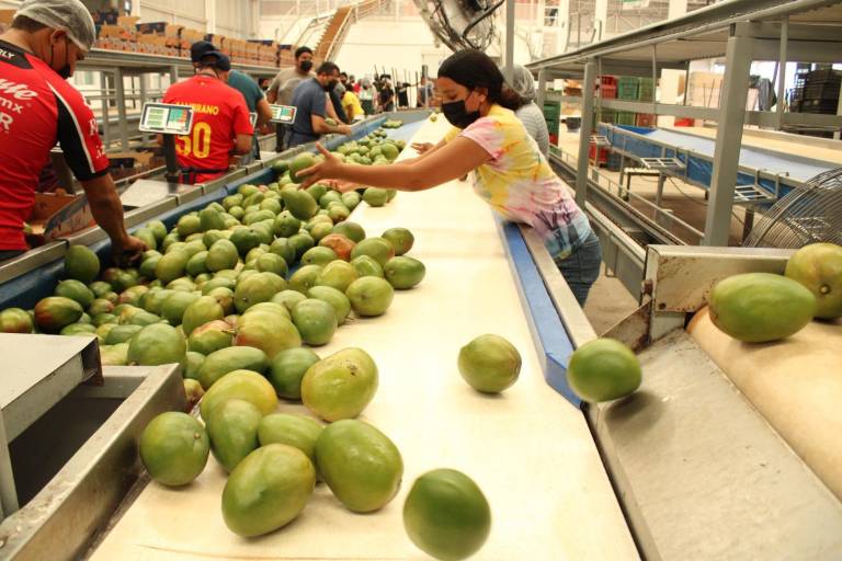 México se favorece por el reacomodo del comercio mundial; América Latina no: Cepal