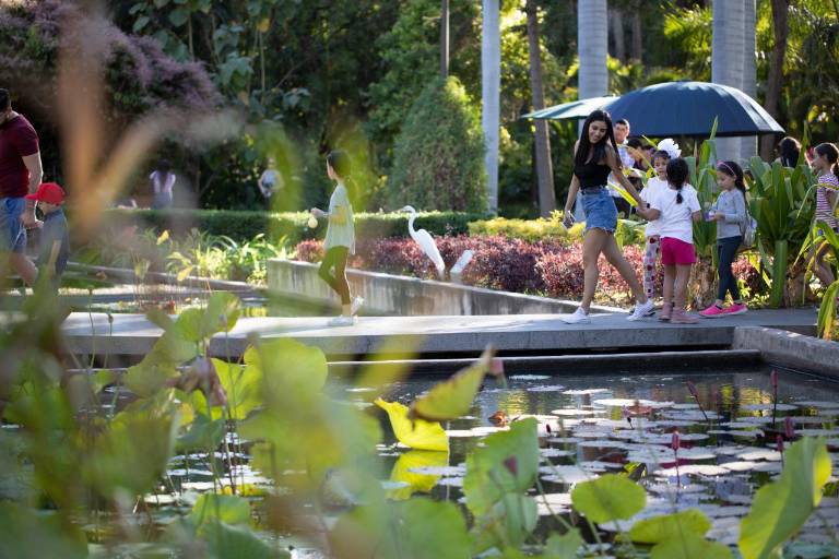 Sociedad Botánica y Zoológica de Sinaloa se integra al World Urban Parks