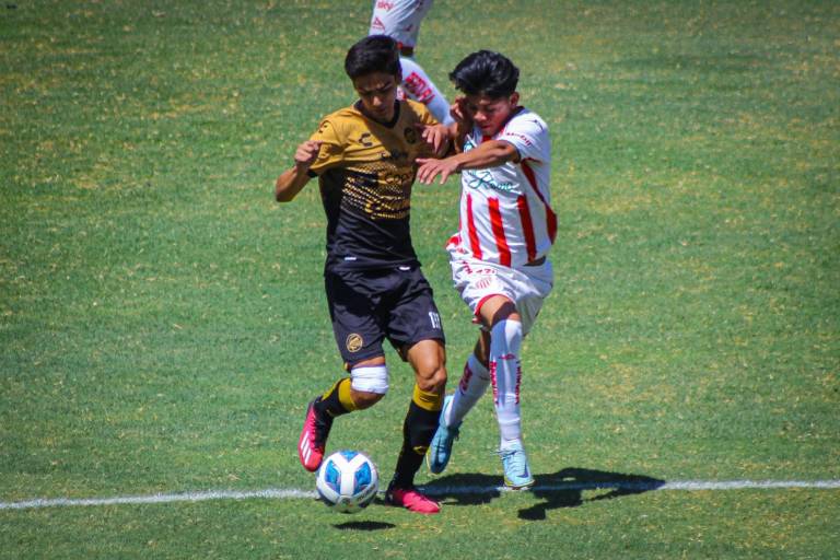 Va Dorados de Sinaloa por su pase a cuartos en la TDP