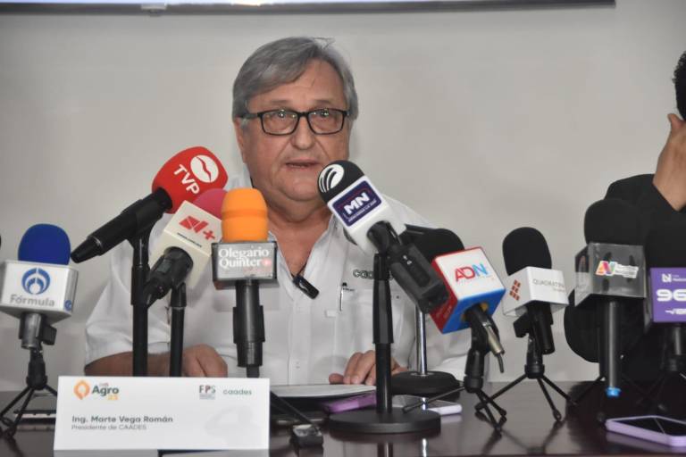 Tema del maíz ya fue superado; esquema da certidumbre a productores: Caades