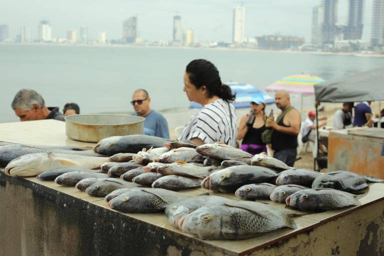 Viven pescadores de Playa Norte una temporada complicada ante escasez de producto
