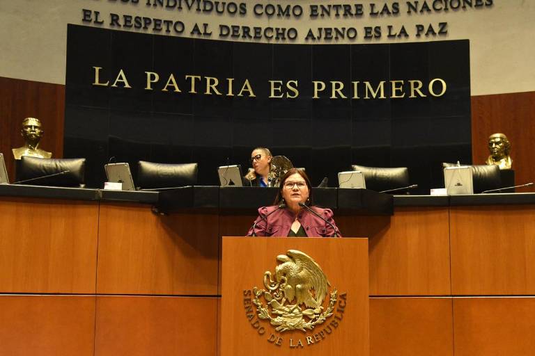 Reconocer identidad de género desde temprana edad, propone la Senadora Imelda Castro