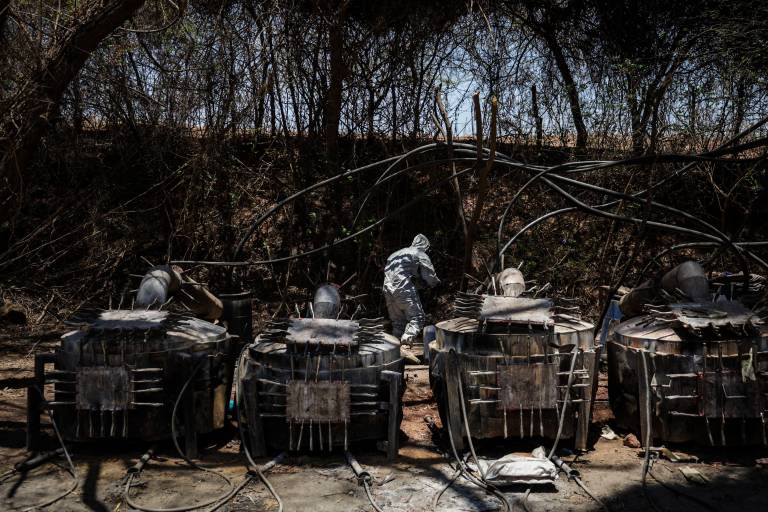 Entre el canto de la naturaleza se cocina la droga de Sinaloa