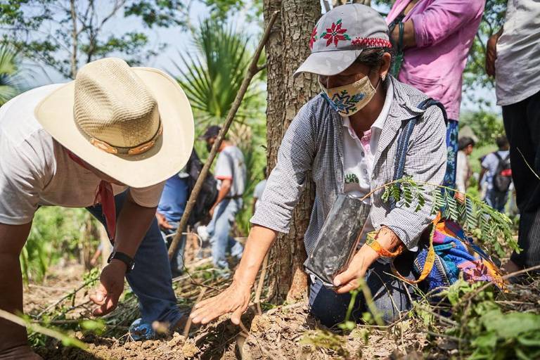 Bordado teenek: estambre contra el olvido, resistencia contra el fracking