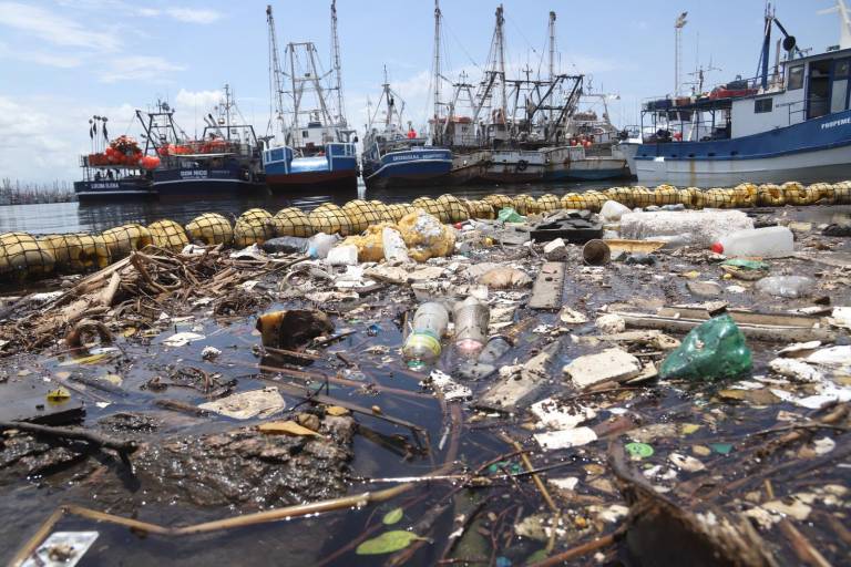 Impide biobarda que 12 toneladas de basura lleguen al mar en el puente Juárez