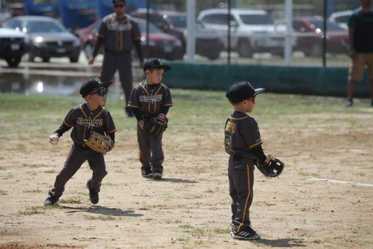 Continúa el buen nivel en el Nacional de Beisbol Categoría Pañalitos