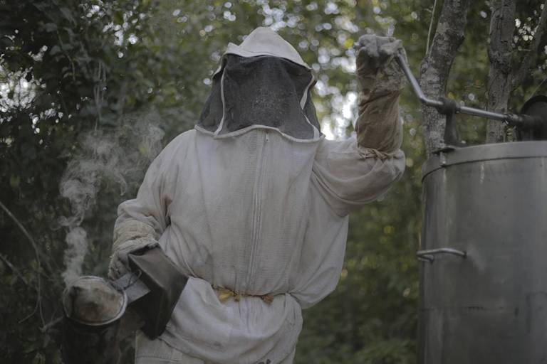 Agroindustria y resistencia de las abejas en Los Chenes