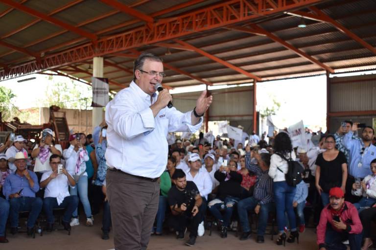 Piden a Ebrard recuperar estatus zoosanitario y cambiar reglas de operación de Segalmex