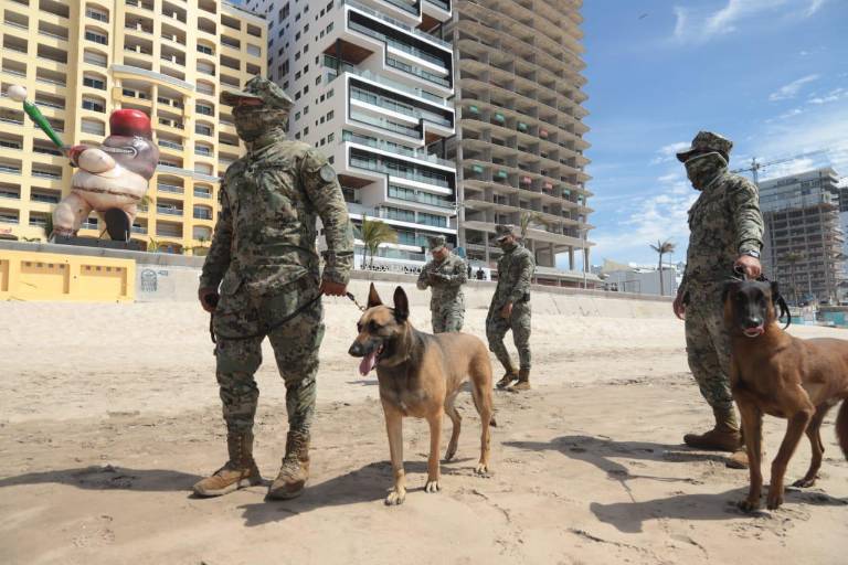 Realizan militares operativo de búsqueda con perros entrenados en playa de Mazatlán