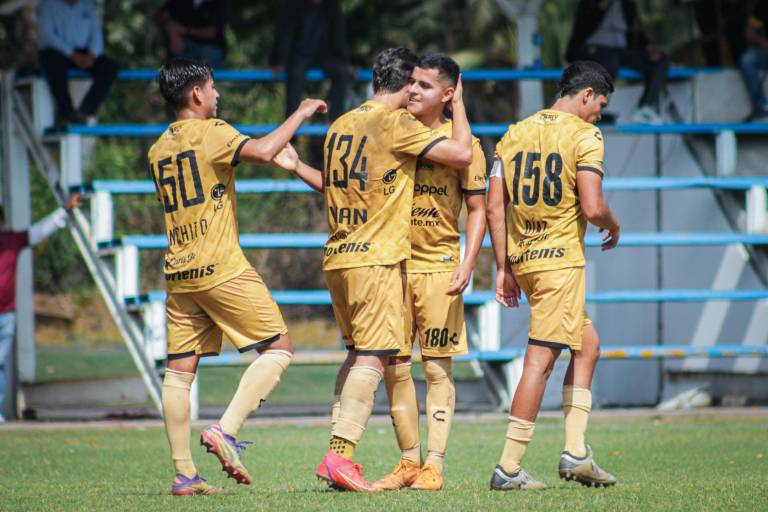 Dorados de Sinaloa sigue en plan grande en la Liga TDP