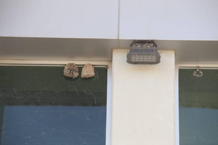 El Centro de Usos Múltiples, en Mazatlán, luce abandonado en la actualidad