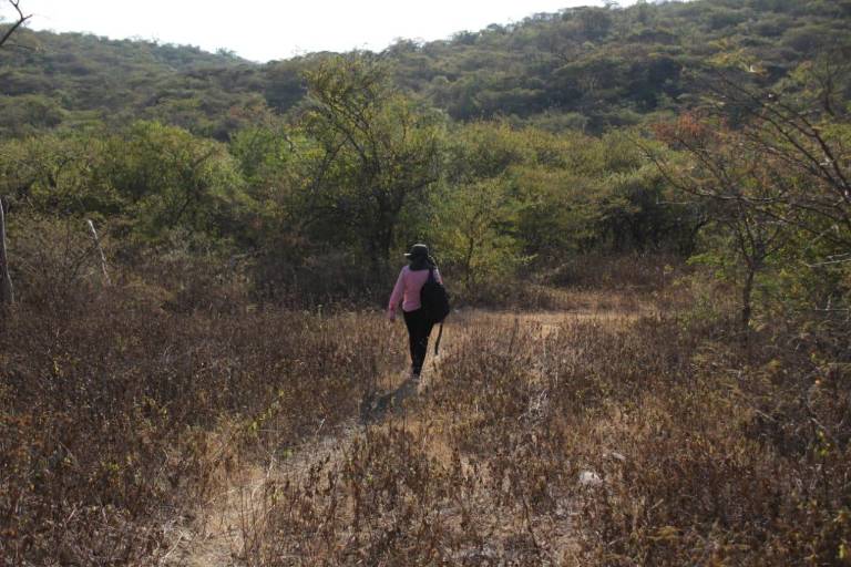Sin recursos y con amenazas, madres buscadoras evidencian el abandono del Estado