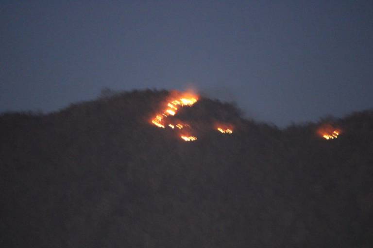 Sufre incendio forestal Cerro del Águila en Rosario
