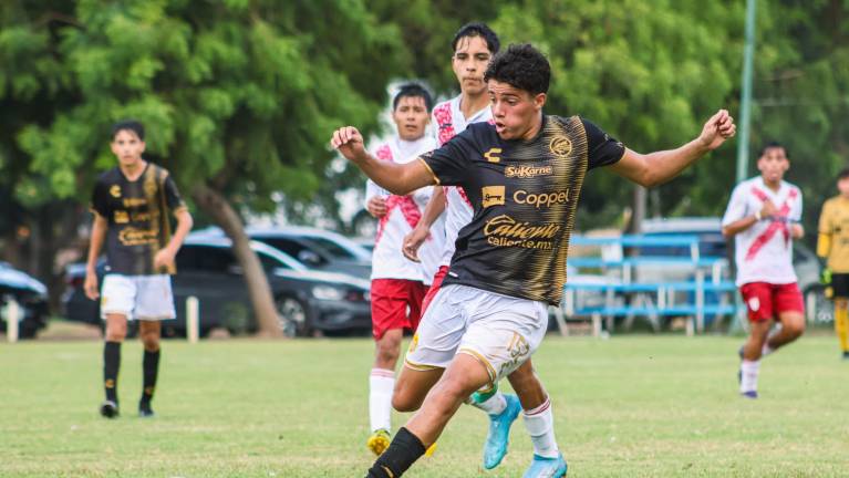 Dorados buscará regresar a la senda del triunfo el 10 de diciembre.