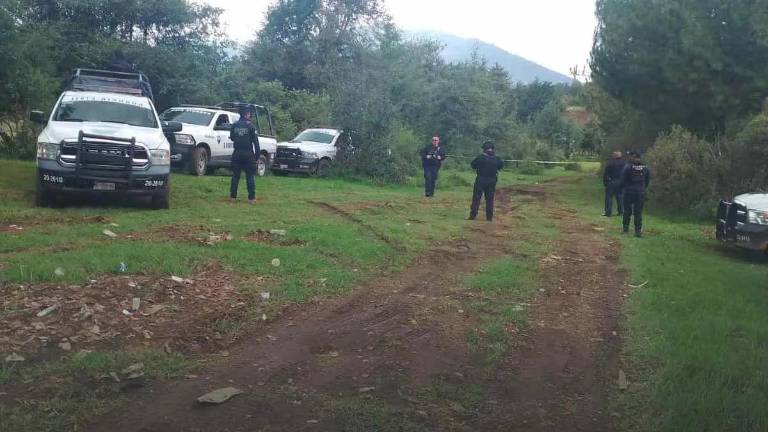 A través de redes sociales se informó que un grupo de civiles armados intentó entrar por Nahuatzen y Rancho del Pino, por lo que fueron repelidos por la guardia comunal.
