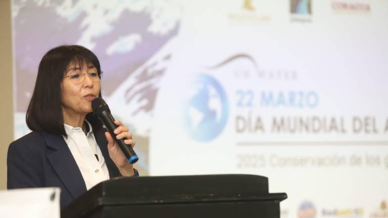 Sandra Guido Sánchez, directora ejecutiva de Conselva, Costas y Comunidades