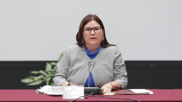 Imelda Castro Castro, senadora por Morena.
