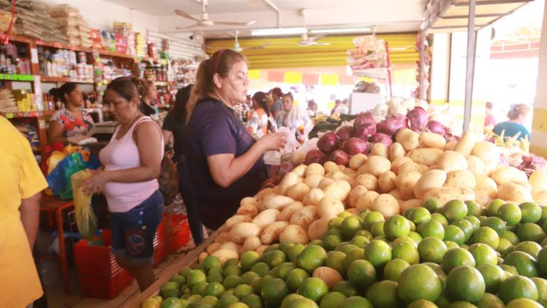 El precio del limón ha ido en aumento en los últimos días.