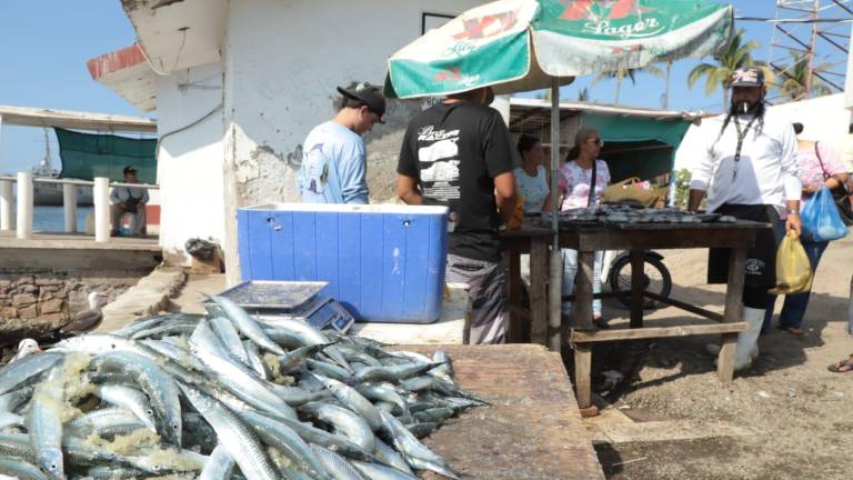 Continúa la demanda de los mazatlecos por comprar el famoso ‘pajarito’ en las diferentes pescaderías y embarcaderos de la ciudad.