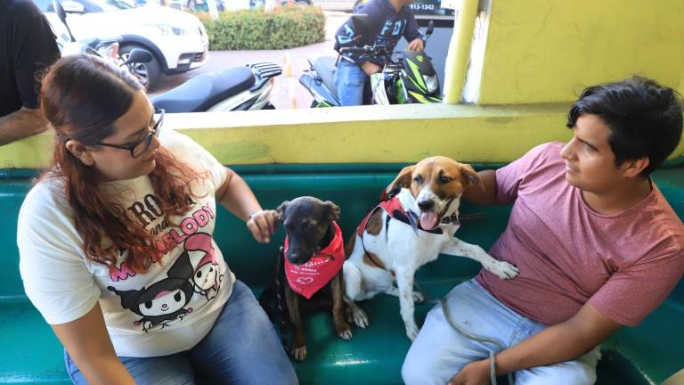 Las personas pudieron convivir con perros y gatos durante la jornada.