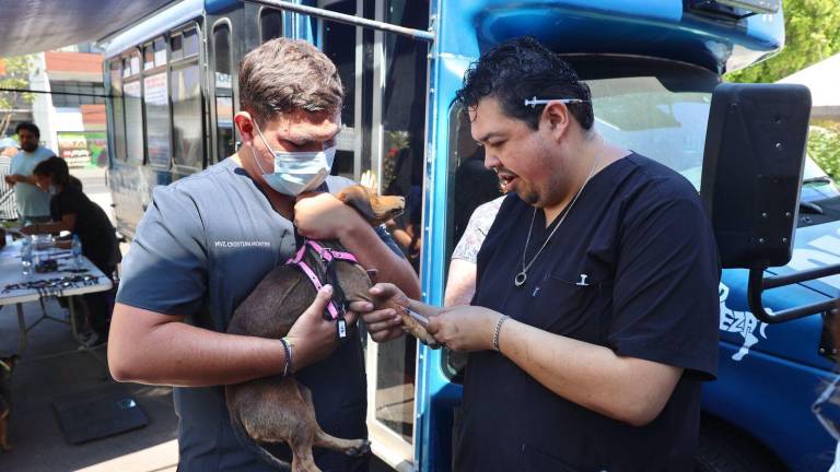 El Gobierno del Estado arrancó el programa de esterilización gratuita de perros y gatos en busca de promover el bienestar y control animal.