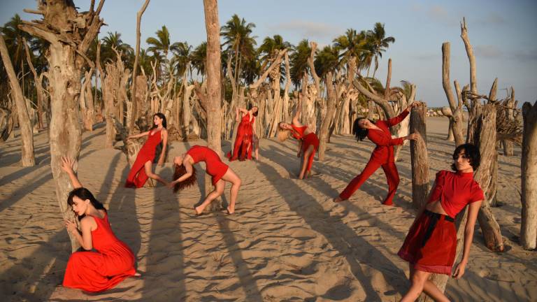 Los egresados de la generación 20 de la Escuela Profesional de Danza Contemporánea de Mazatlán, se presenta este viernes, a las 20:00 horas en el Teatro Ángela Peralta.