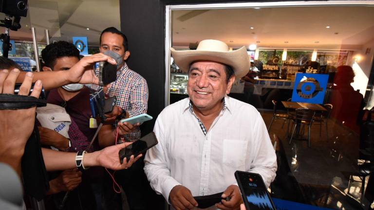 Félix Salgado Macedonio, senador con licencia.