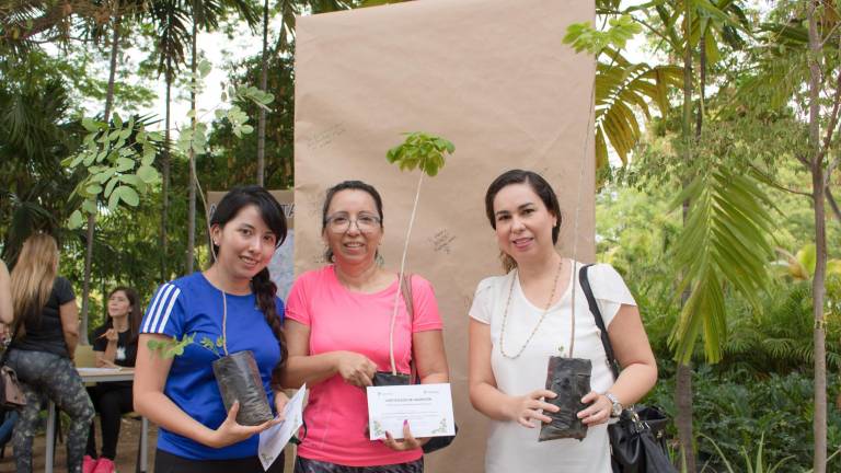 La entrega de árboles se llevará a cabo mediante cita.