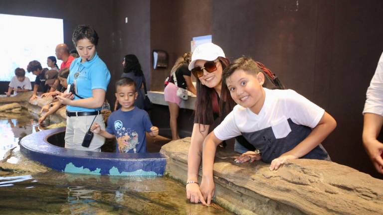 Los hijos de trabajadores de Datemex disfrutaron este sábado de una visita especial al Gran Acuario Mazatlán con motivo del Día del Niño.