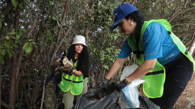 Más de 100 voluntarios se sumaron a la campaña “Cuidemos los Manglares”, con apoyo de empresas privadas.