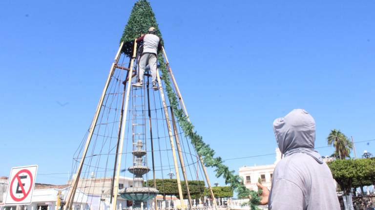 Ya inició la instalación del pino monumental frente al Palacio Municipal.
