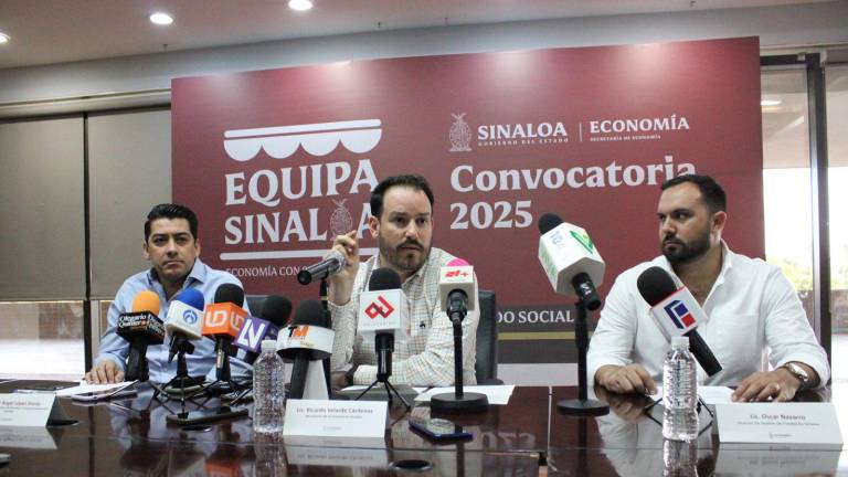 La convocatoria tiene como propósito ayudar a todos aquellos emprendedores en el estado.