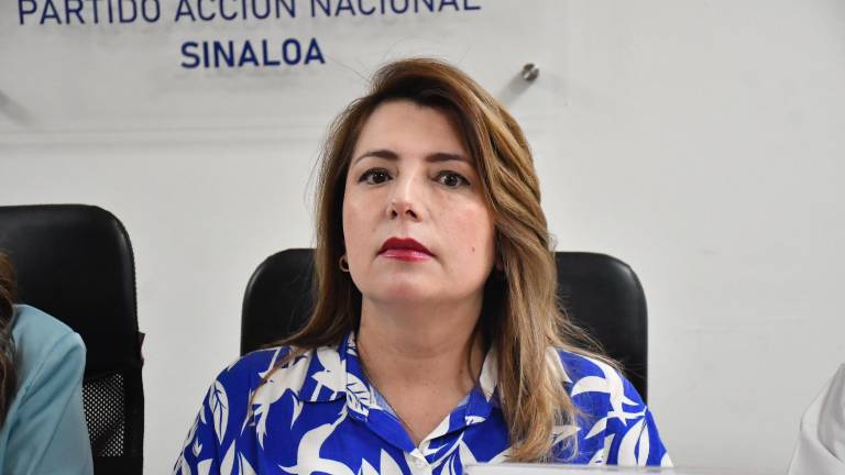Rubio Valdez señaló que aunque el discurso de las autoridades expone avances para neutralizar la situación, en los hechos no se refleja un cambio en la situación que vive Sinaloa.