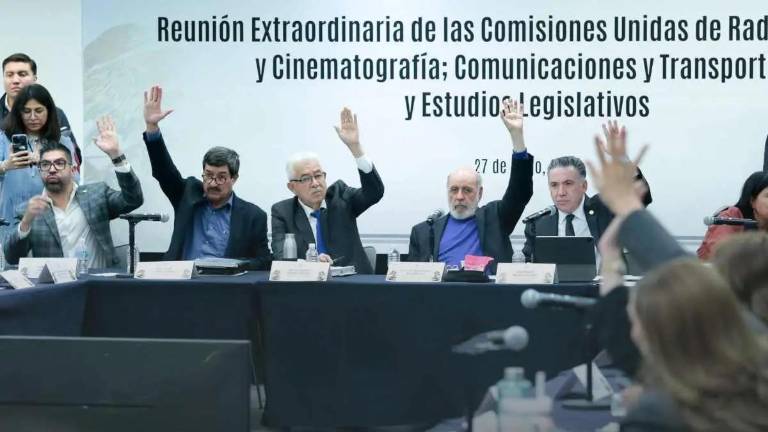 La ley será votada en el pleno del Senado para ser enviada a la Cámara de diputados.
