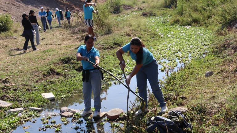 Con limpieza del arroyo Buñigas, participa de UTEsc en Jornada Nacional de Tequios por la Paz, que impulsa la Presidencia de la República.